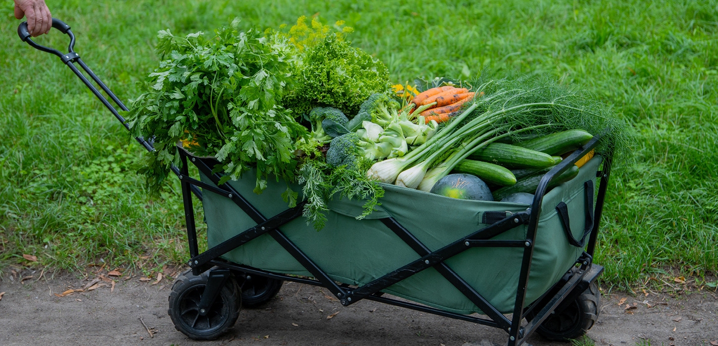 Frisches Gemüse vom Markt - Restaurant Daniel